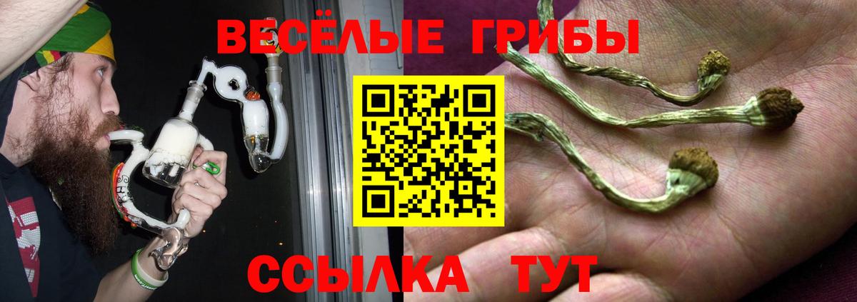Галлюциногенные грибы Magic Shrooms  Псилоцибиновые грибы Psilocybine cubensis  Георгиевск  Вход с VPN 